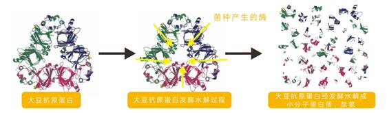 1-20050Q14224525 MS - 美狮贵宾会·官方(中国)