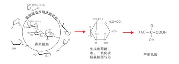 1-20050Q14244G5 MS - 美狮贵宾会·官方(中国)